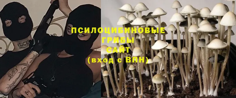 мега рабочий сайт  Хасавюрт  Галлюциногенные грибы MAGIC MUSHROOMS 